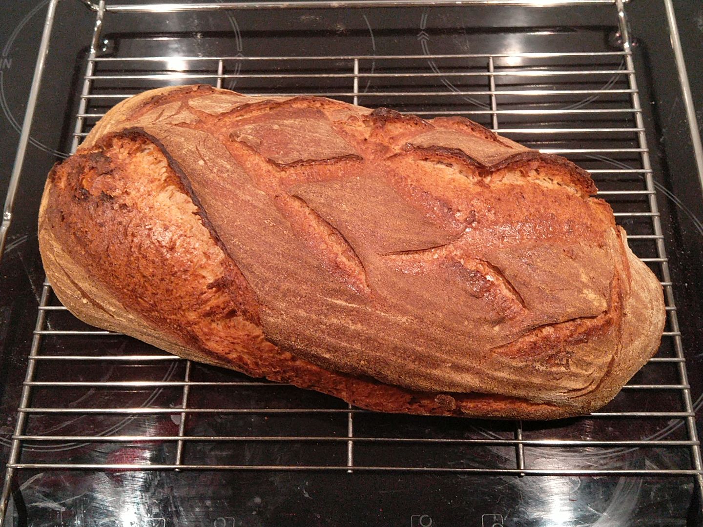 brot_12012023.jpg