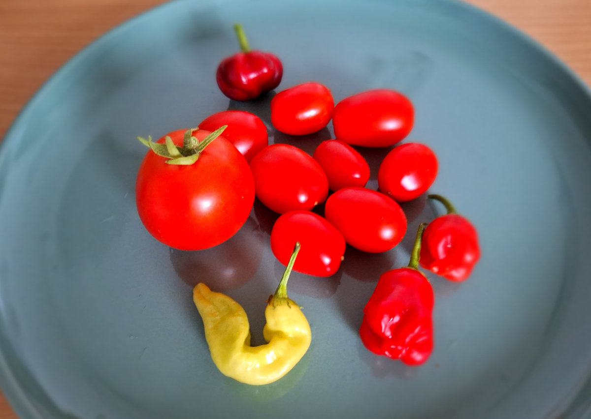 Bruschetta_Zutaten.jpg