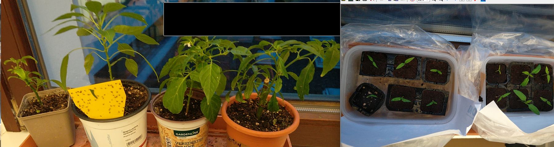 buerochili_29012024.jpg