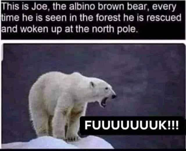 C6CA7BBB-5248-43CD-BF3E-0BE8963C459E.jpeg
