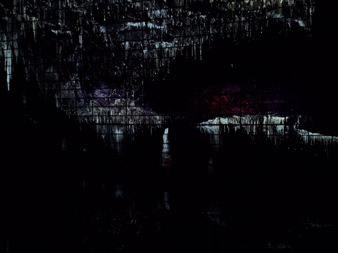 C7ADDD13-754E-4509-ADFD-8DDEFD025DA7.jpeg