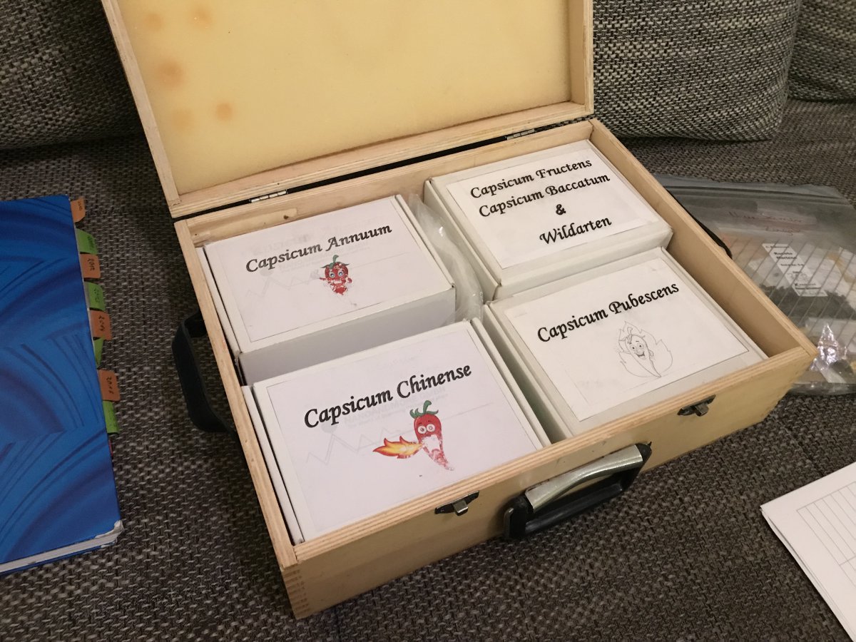 CapsamaniaWanderpaket (2).jpg