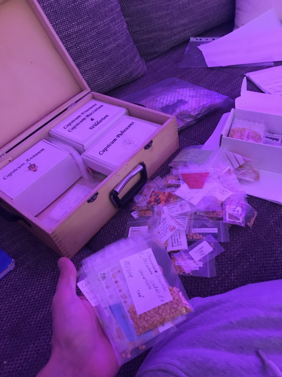 CapsamaniaWanderpaket (4).jpg