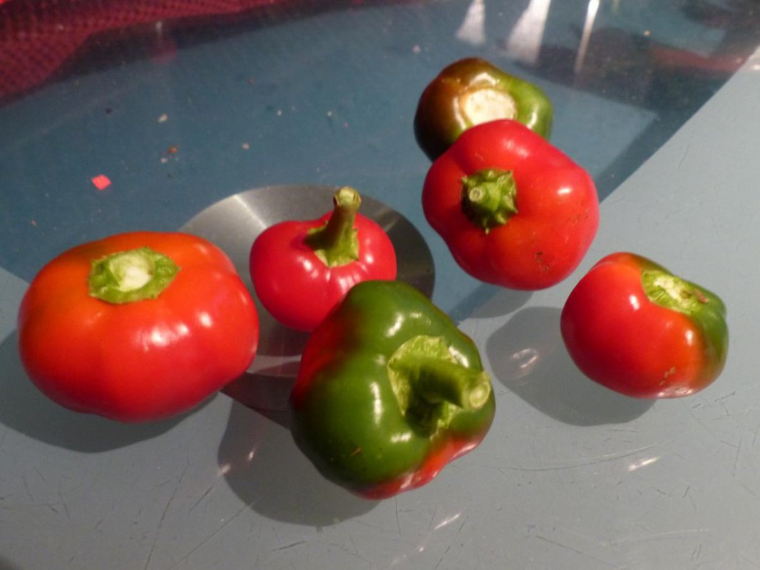 cherries.jpg