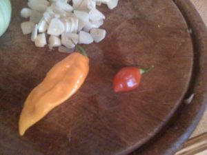 Chili 0003.jpg