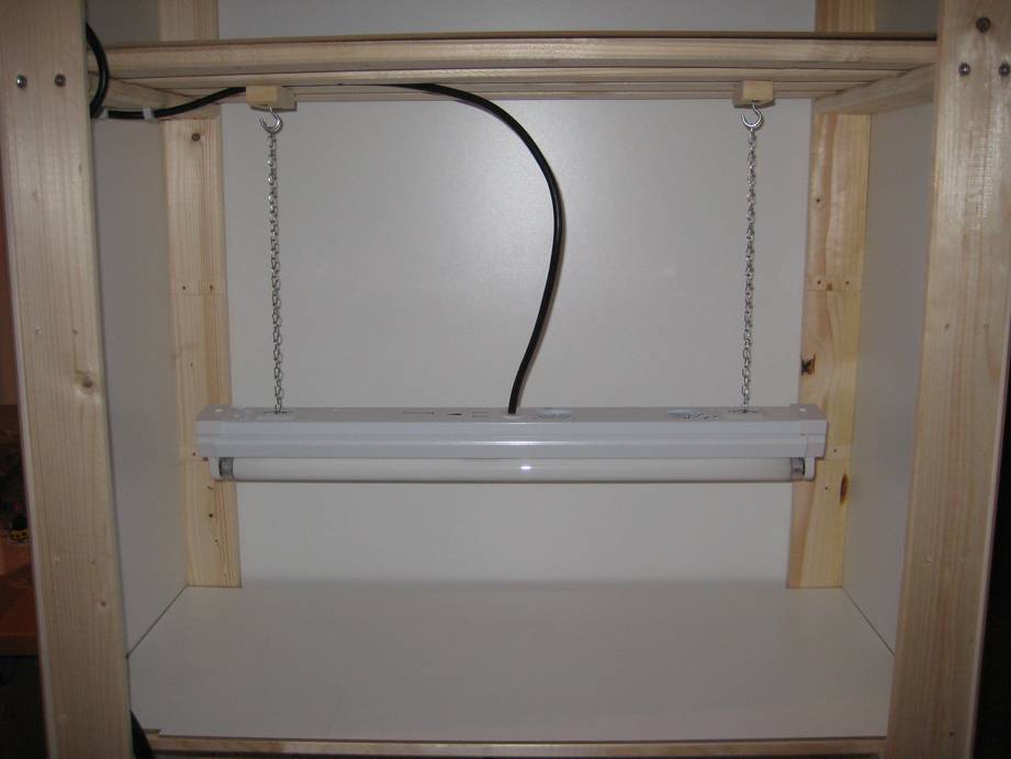 Chili 005.jpg