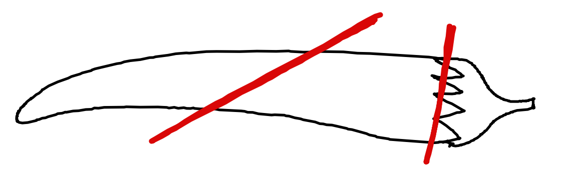 chili_cut_01.png