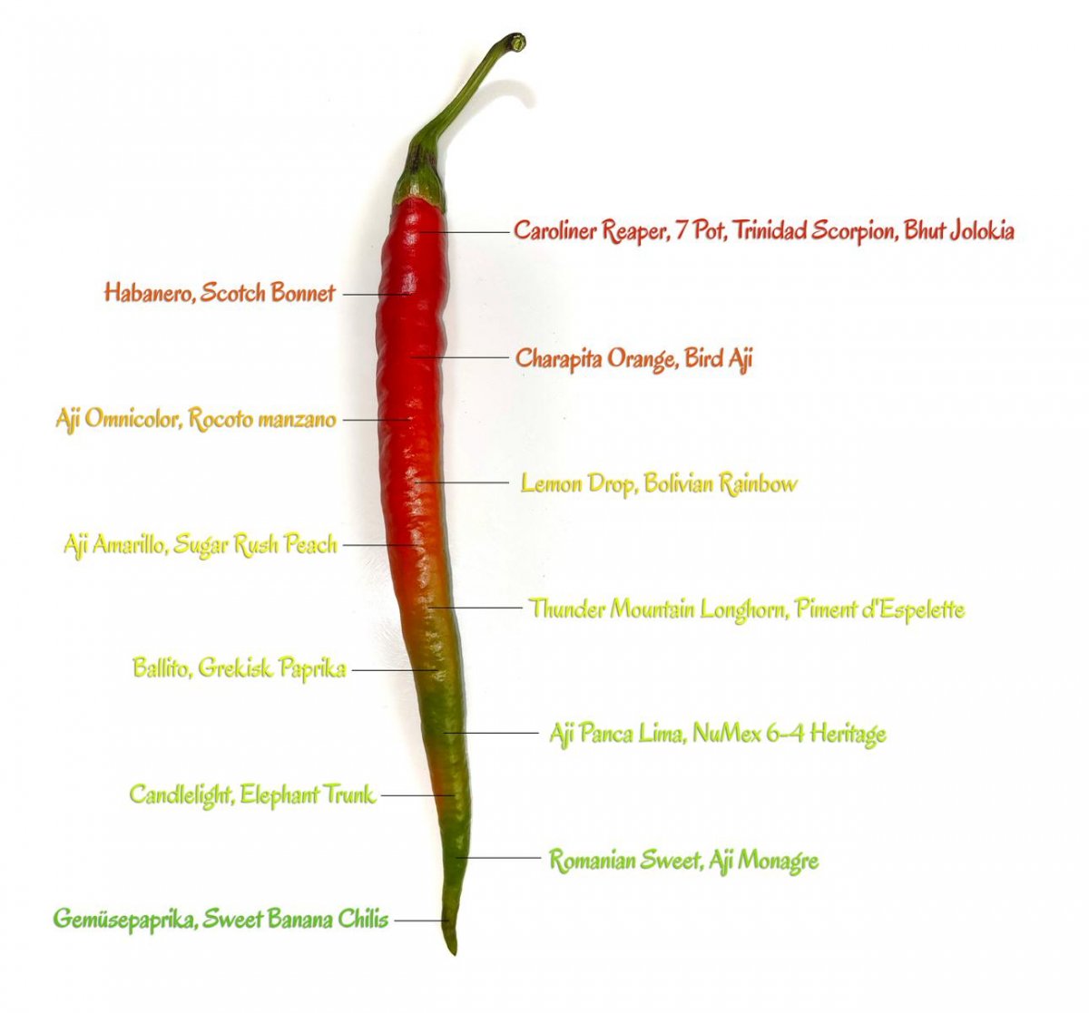 chili_overview_v03.JPG