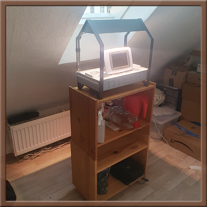 chili_schrank_3.jpg