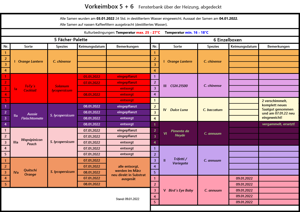 Chilianzucht-Vorkeimbox_2022.png