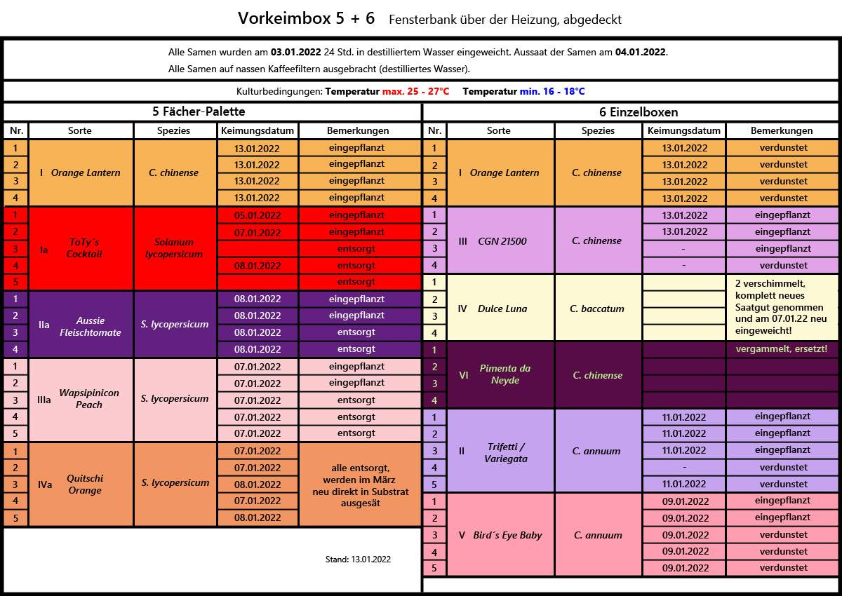 Chilianzucht-Vorkeimbox_2022.png