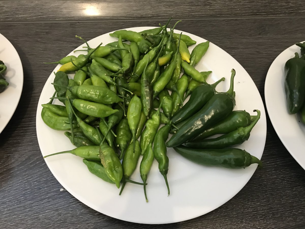 Chiliunreif1.jpg