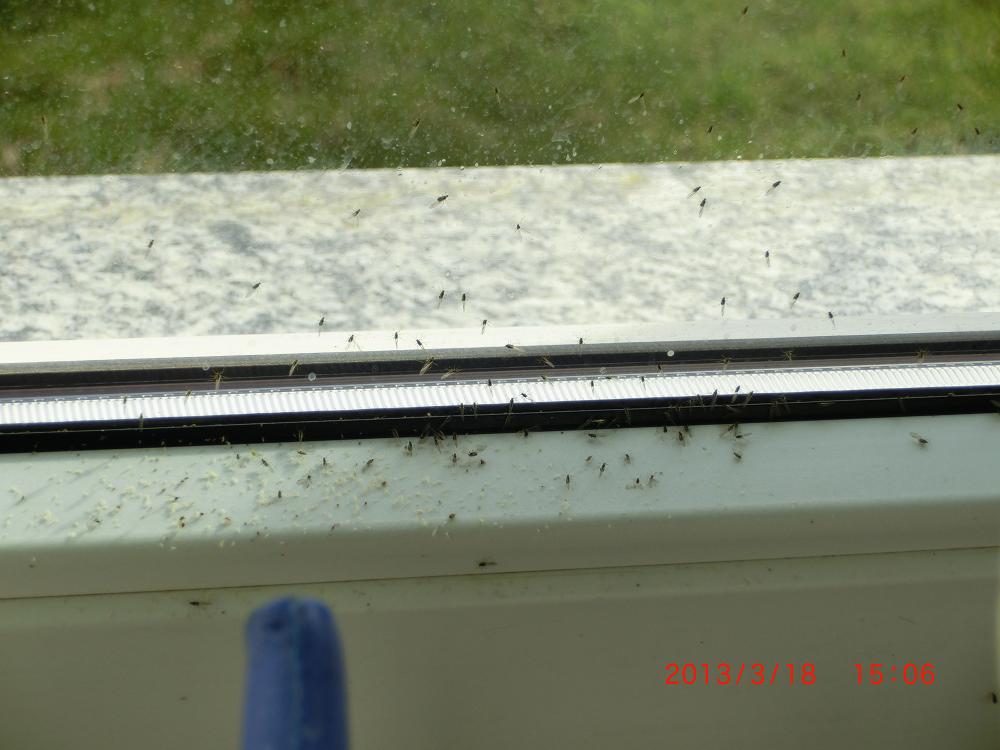 CIMG2175 (web).jpg