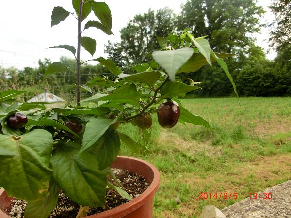 CIMG3875 (web)2.jpg