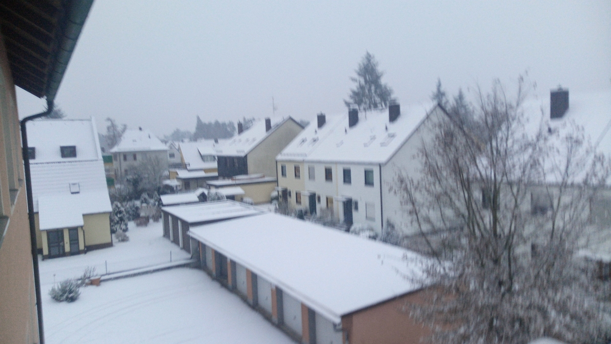 comp_IMG-20201201-WA0004.jpg