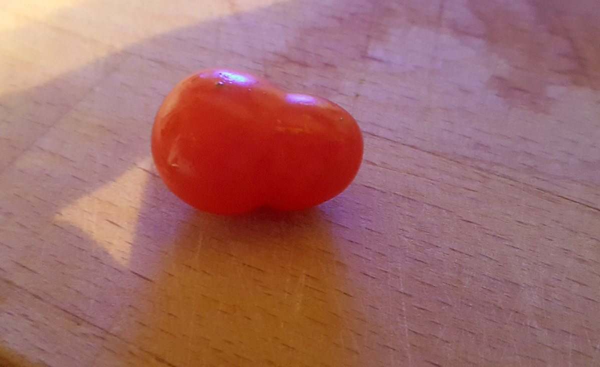 doppeltomate.png