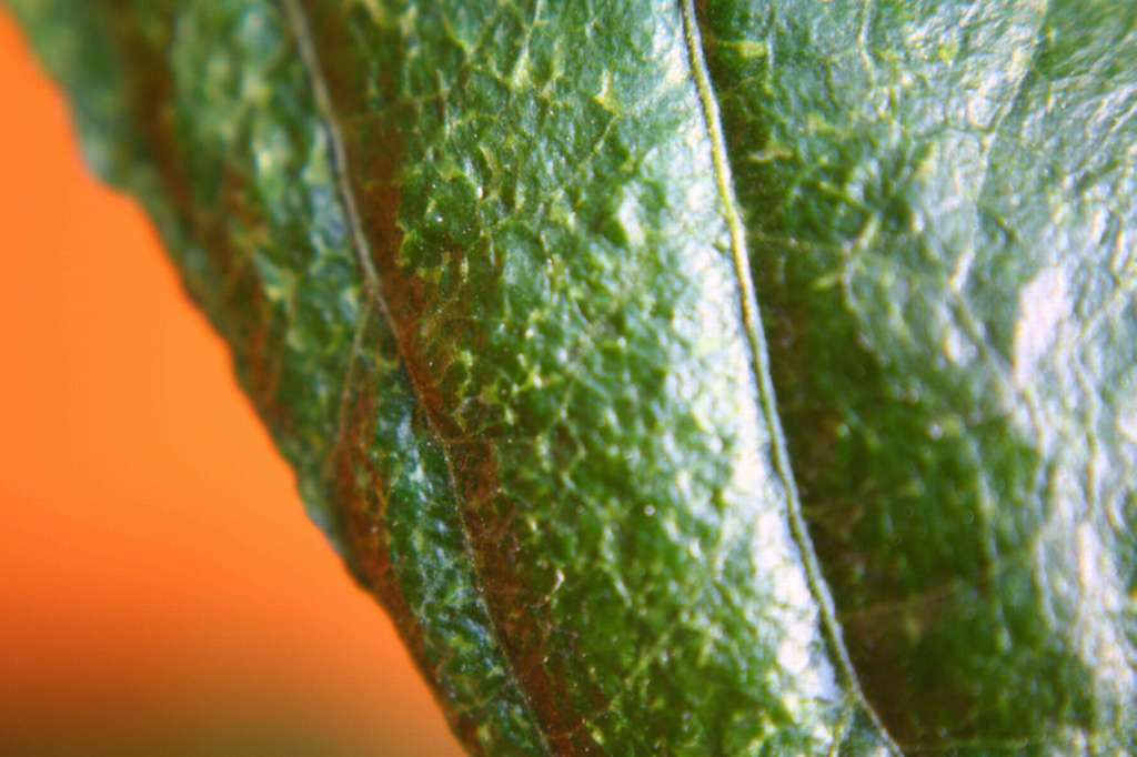 DPP_0322.jpg