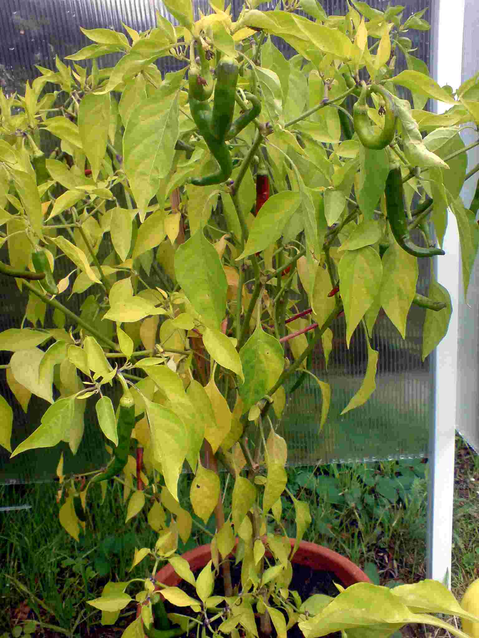 DSC01042.jpg