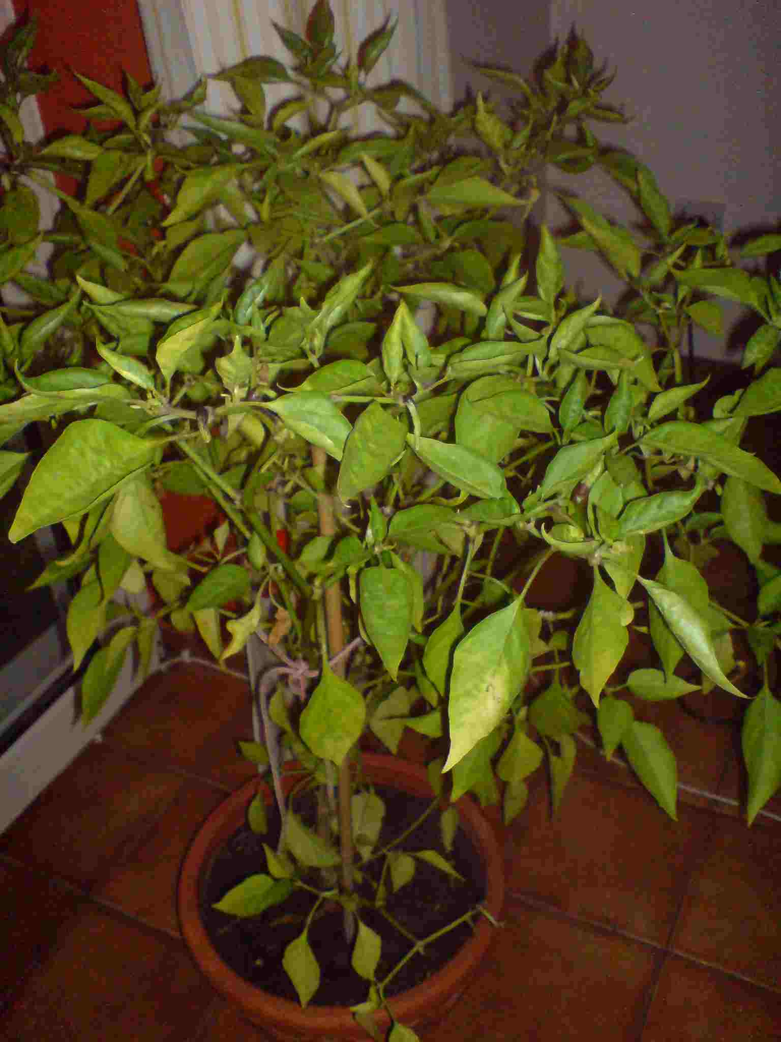 DSC01090.JPG
