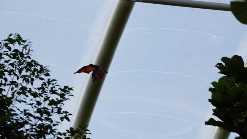 DSC05403.JPG