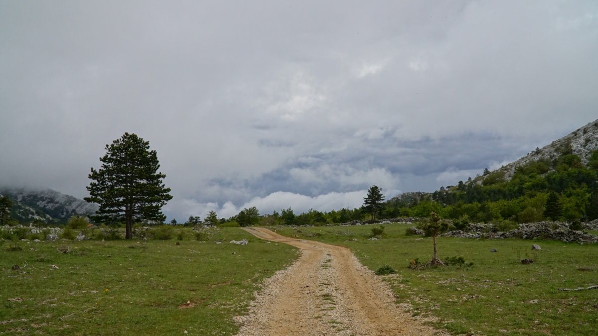 DSC09436.JPG