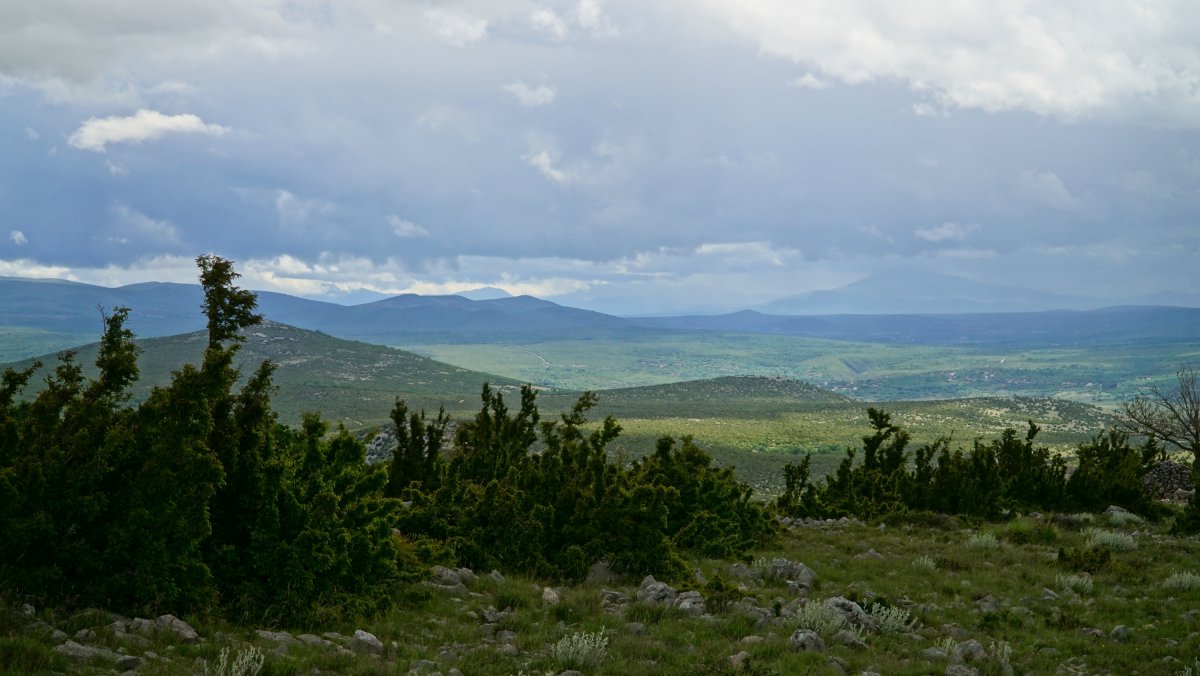 DSC09499.JPG