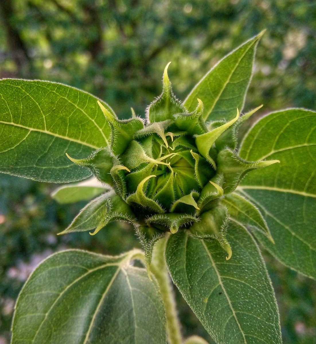 DSC_0312-01.jpeg