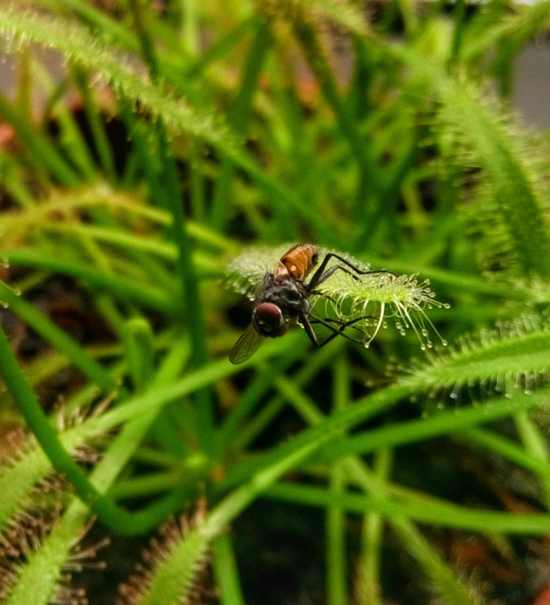 DSC_0392-01.jpeg
