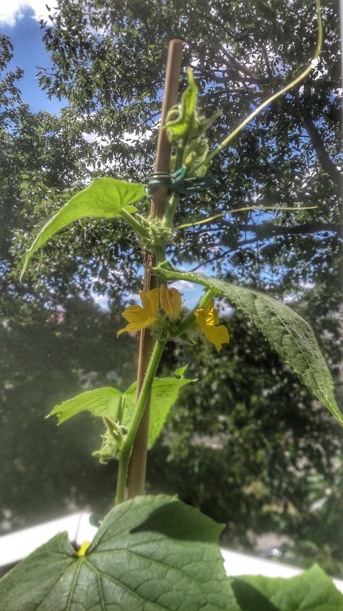 DSC_0471-01.jpeg