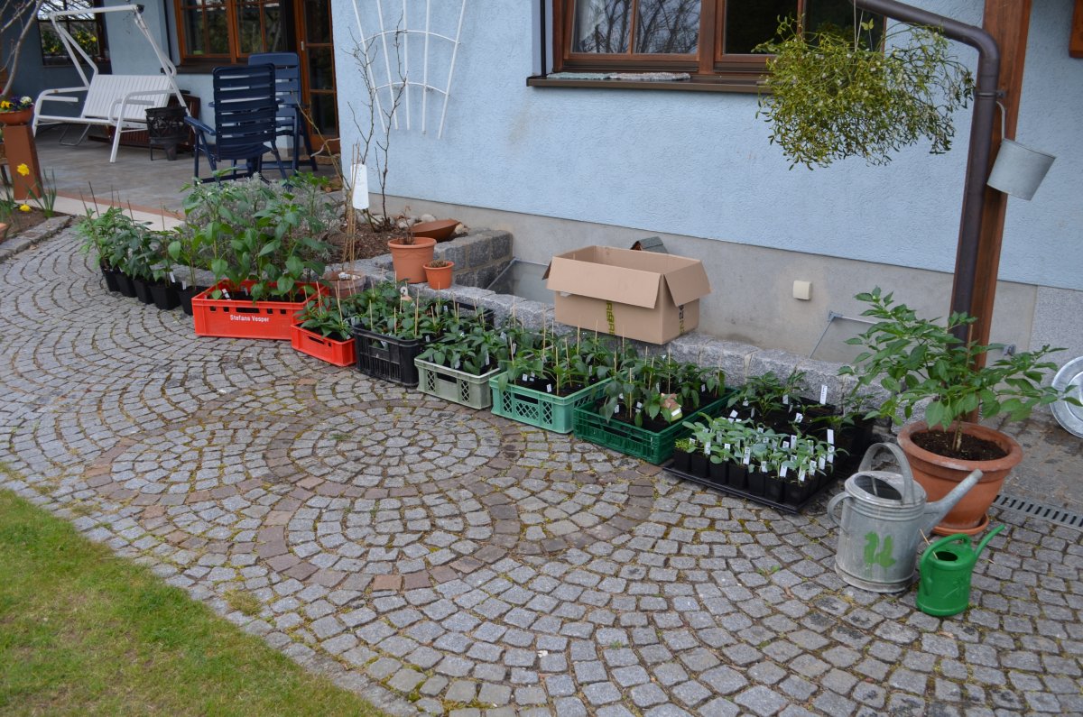 DSC_8594.JPG