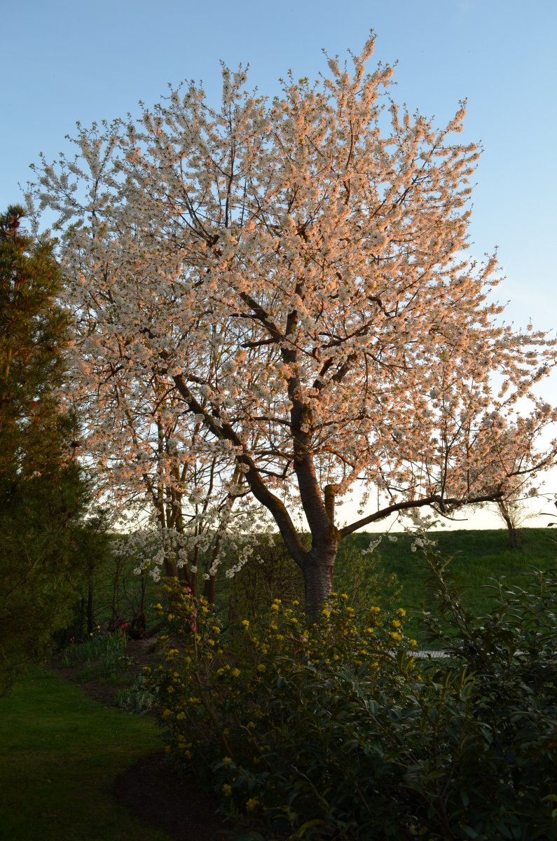 DSC_8678.JPG