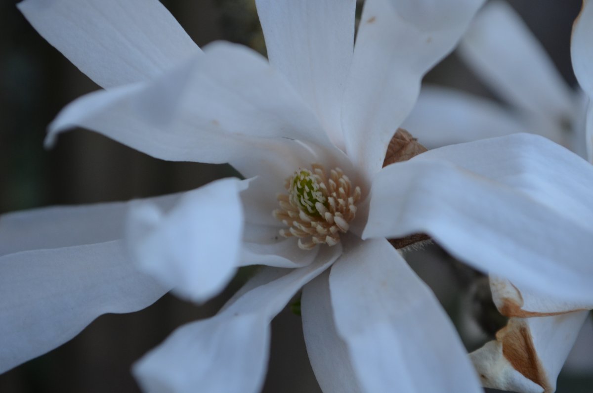 DSC_8709.JPG