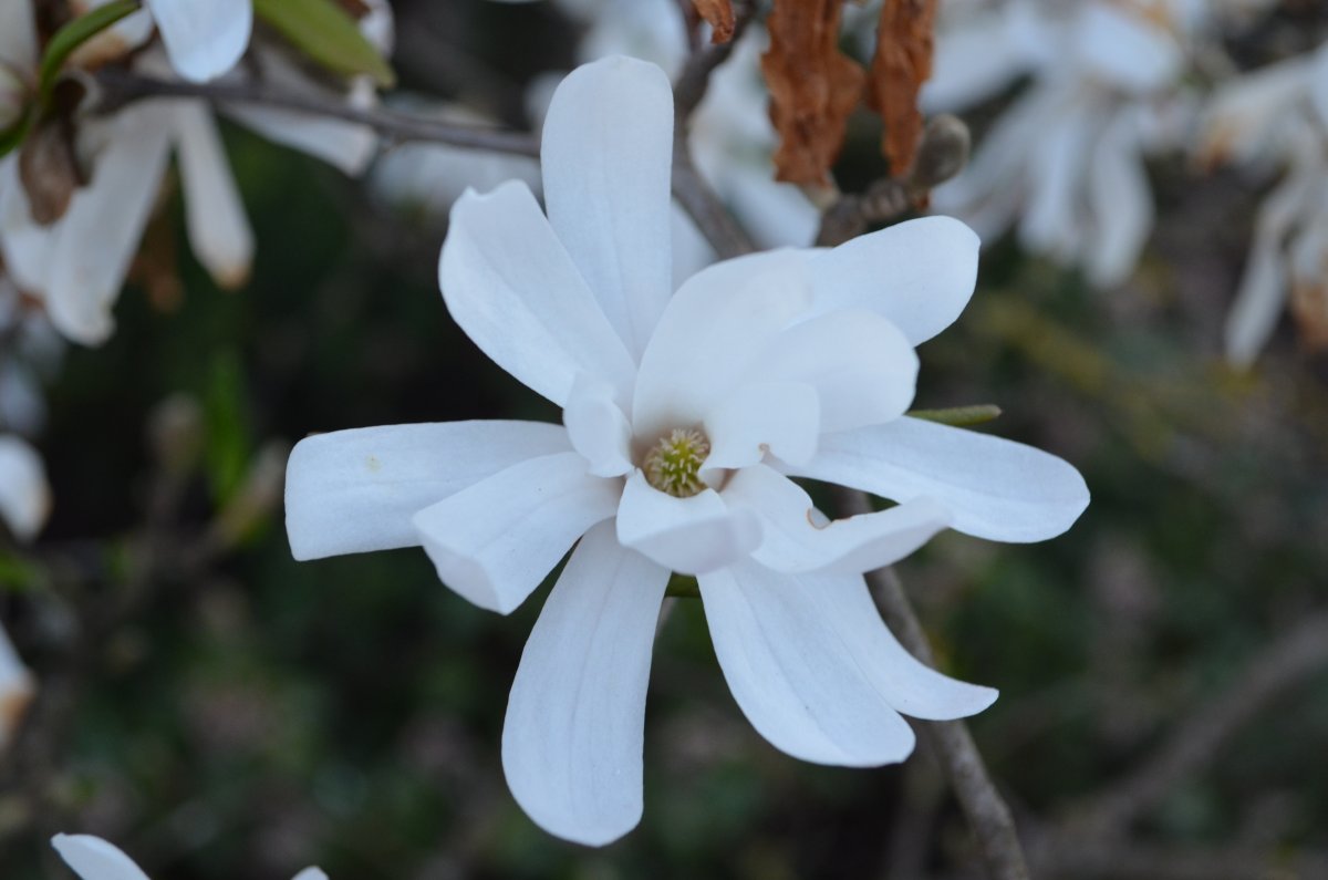DSC_8711.JPG