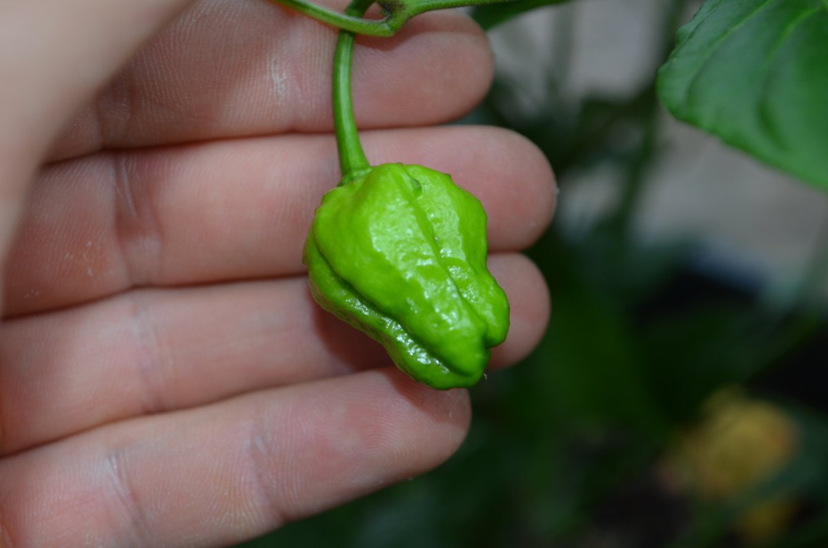 DSC_8728.JPG