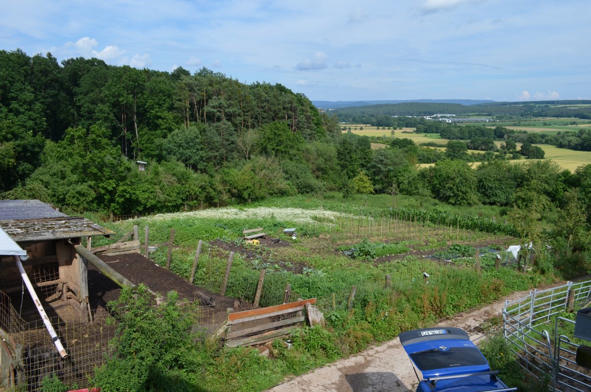 DSC_8810.JPG