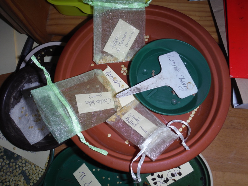 DSCF0574.JPG