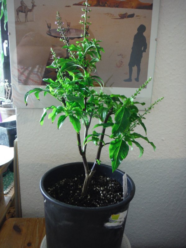DSCF1108.JPG