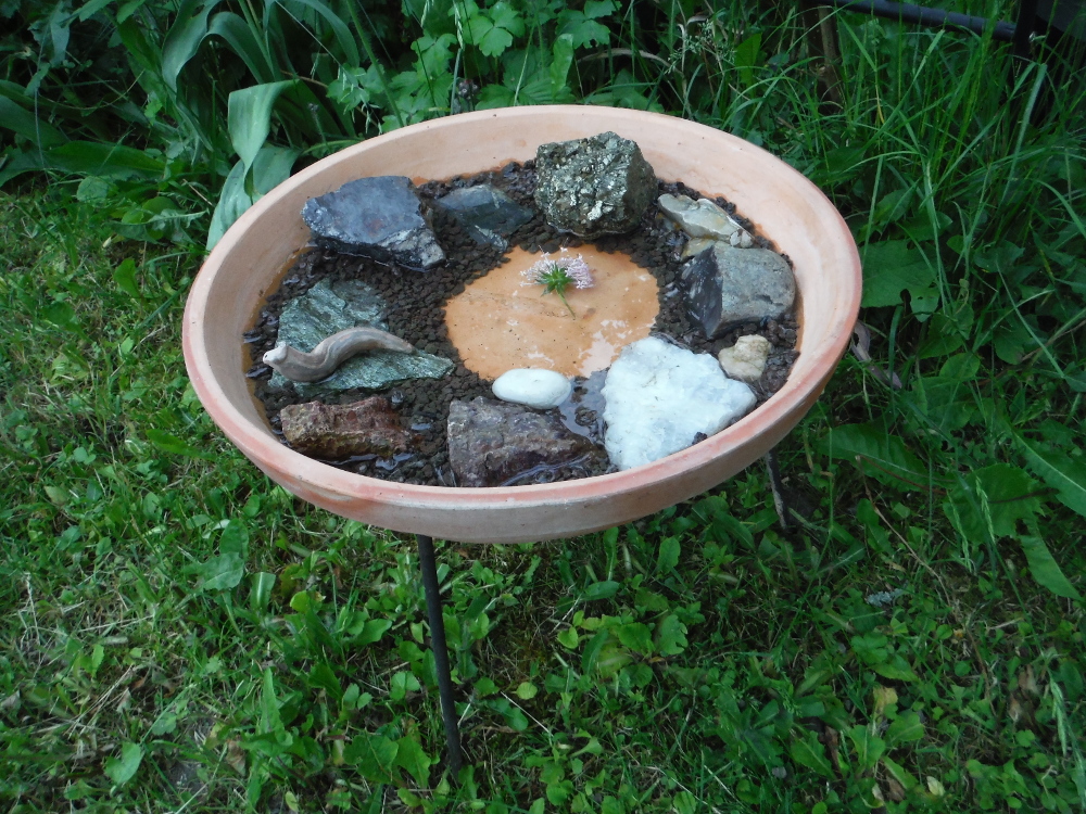 DSCF3164.JPG