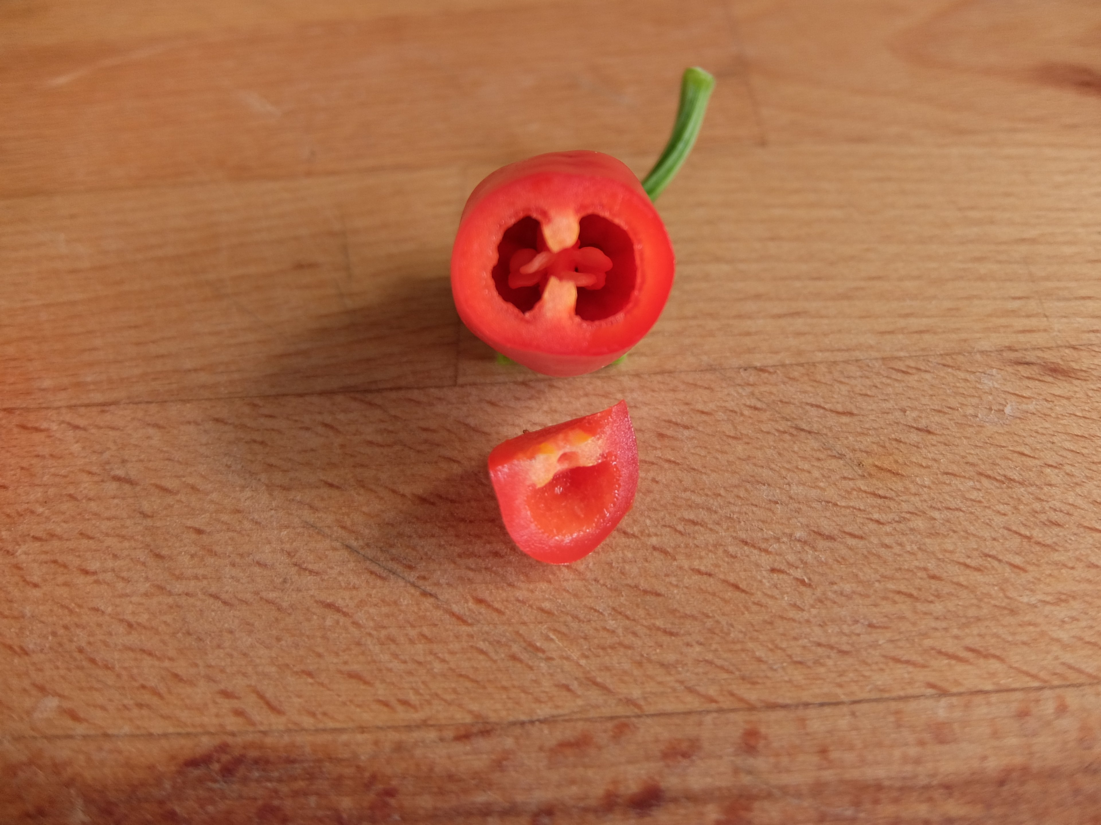 DSCF7807.JPG