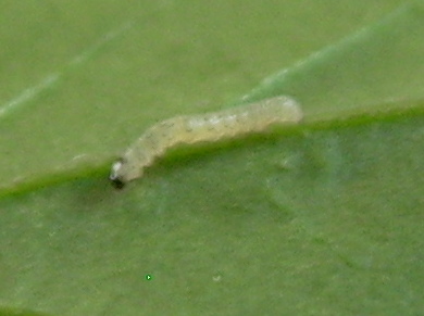 dsci0186.jpg