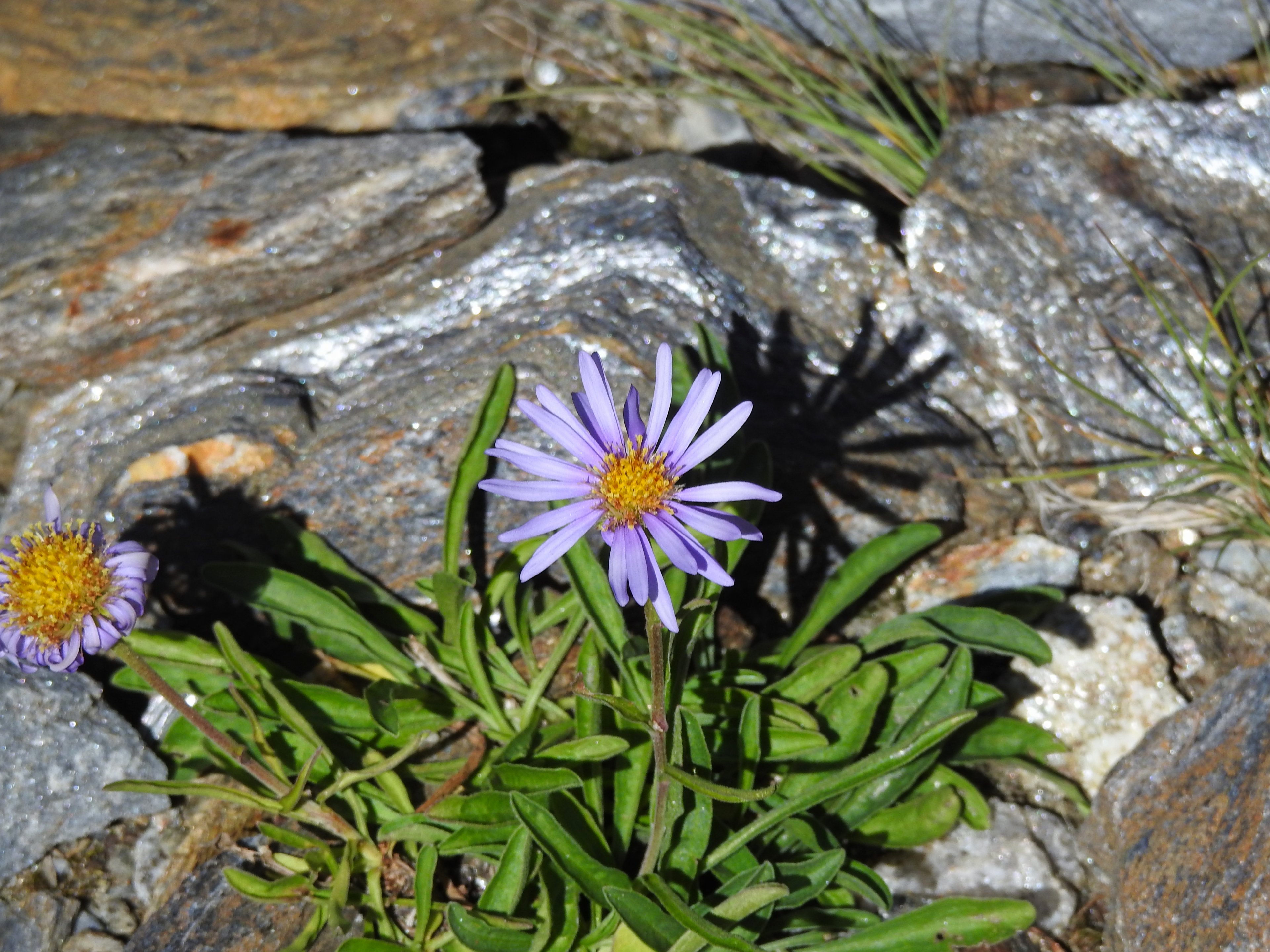 DSCN0098.jpg