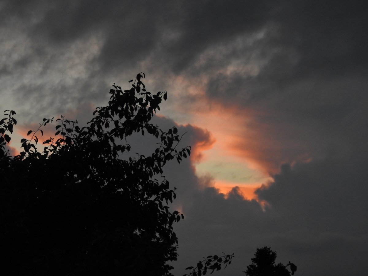 DSCN0248.jpg