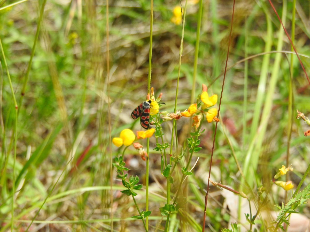 DSCN0342.jpg