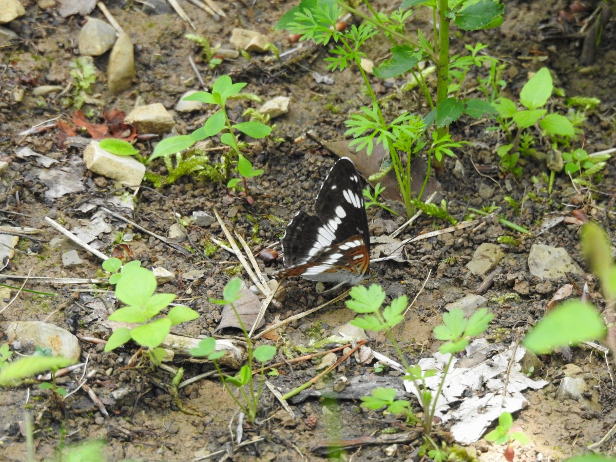 DSCN0396.jpg