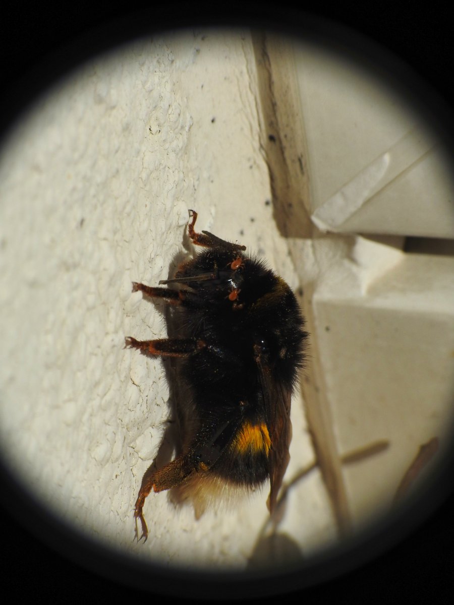DSCN0533.jpg