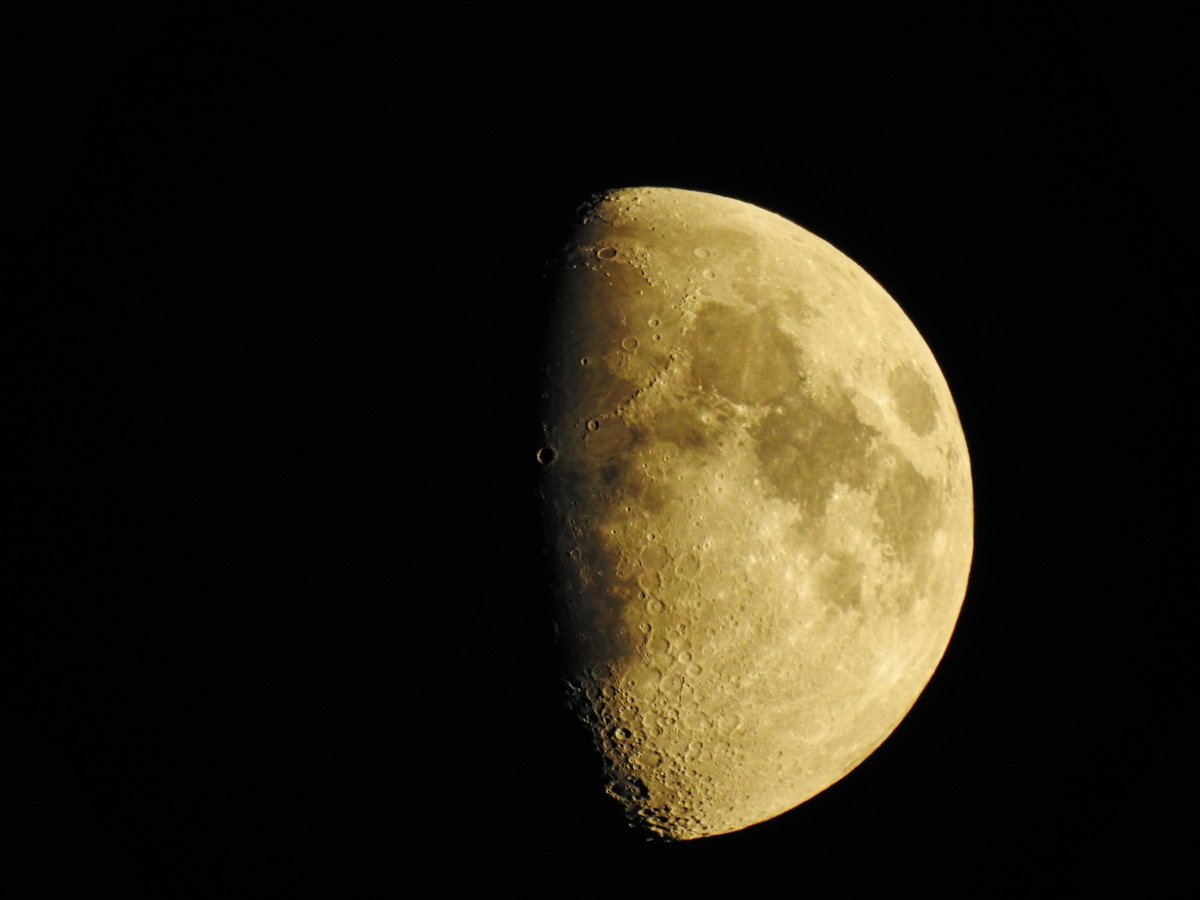 DSCN0631.jpg