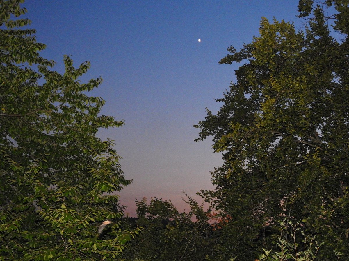 DSCN0646.jpg