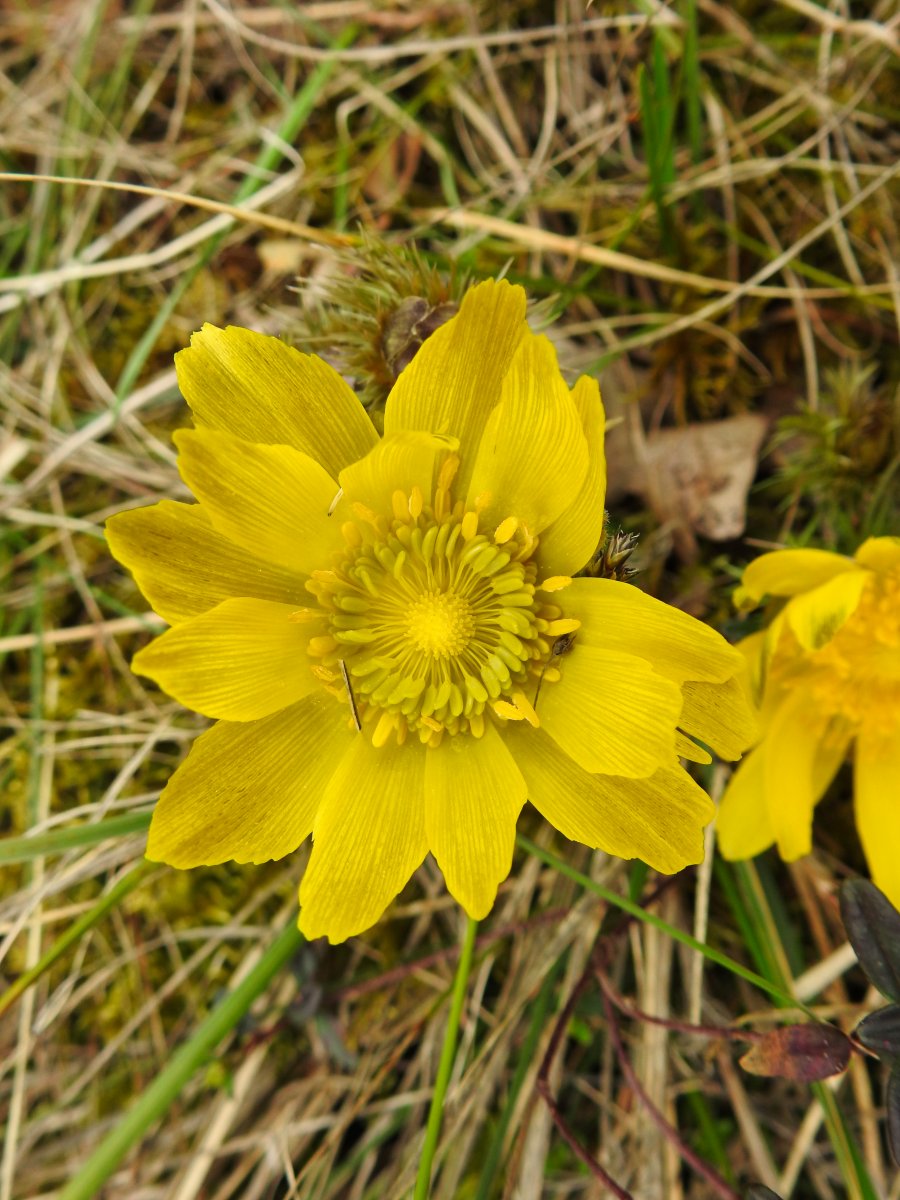 DSCN0744.jpg