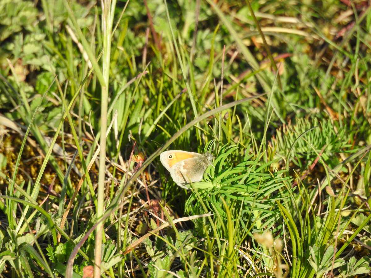 DSCN0839.jpg