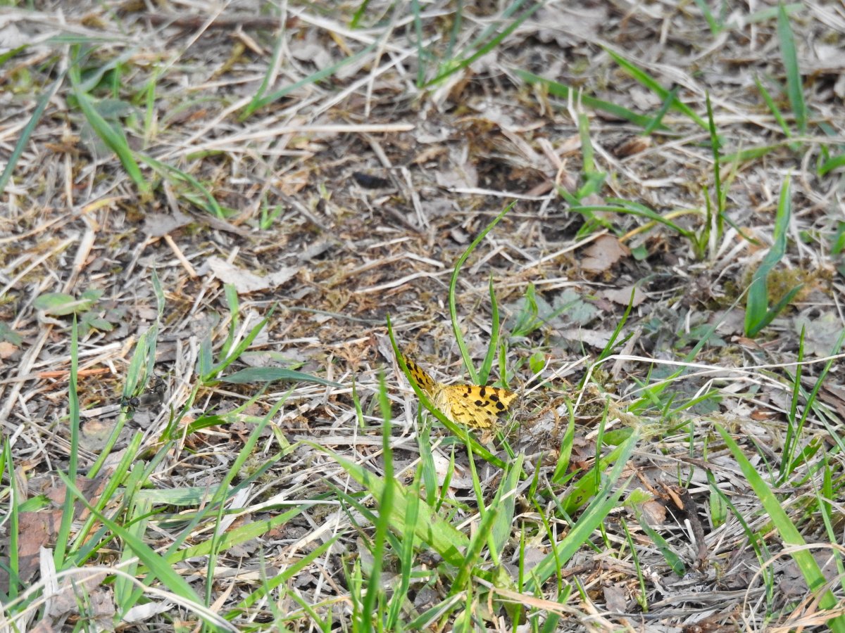 DSCN0849.jpg